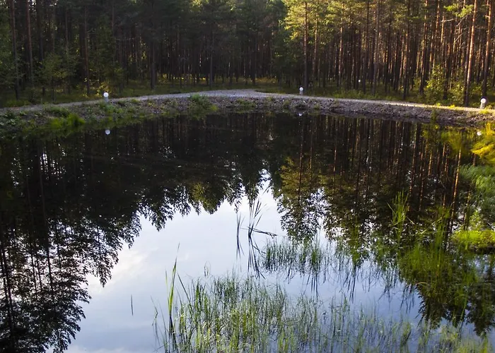 Vakantiehuis Pullijaerve Misso