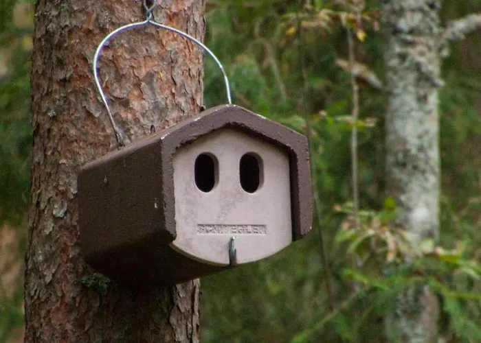 Vakantiehuis Pullijaerve *